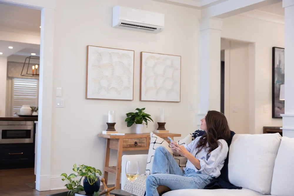 Living room with AC unit